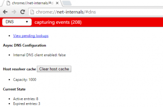 Clearing DNS Cache in Google Chrome without Time Out or Closing Browser