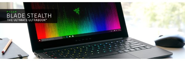 Razer Blade Stealth 12.5 RZ09